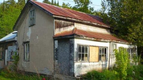 Dunedin Darntootin photo 3