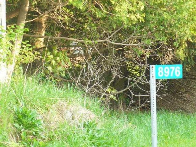 Dunedin - P1110378.jpg