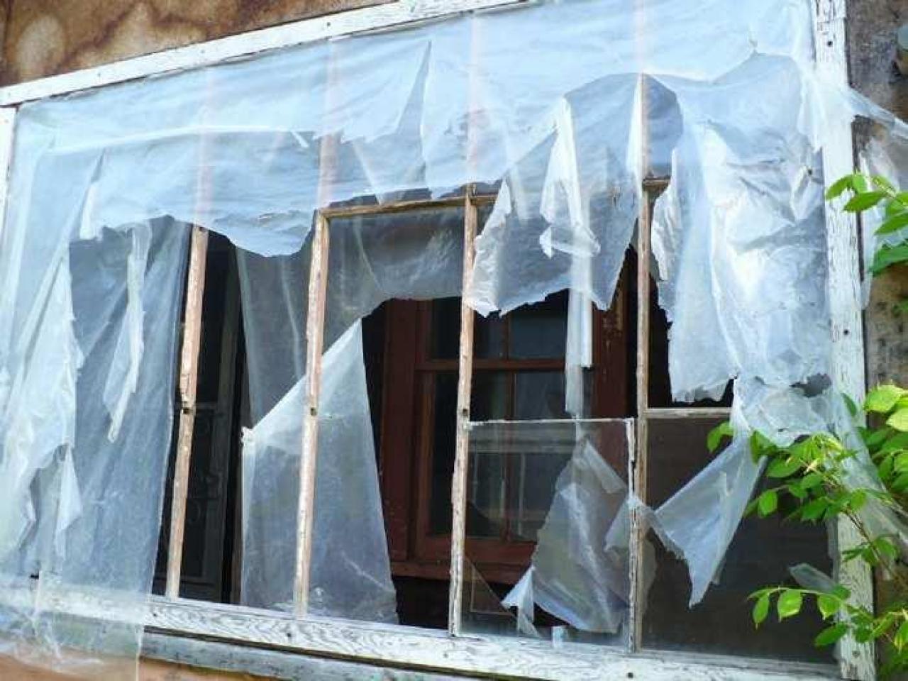 Dunedin - P1110380.jpg