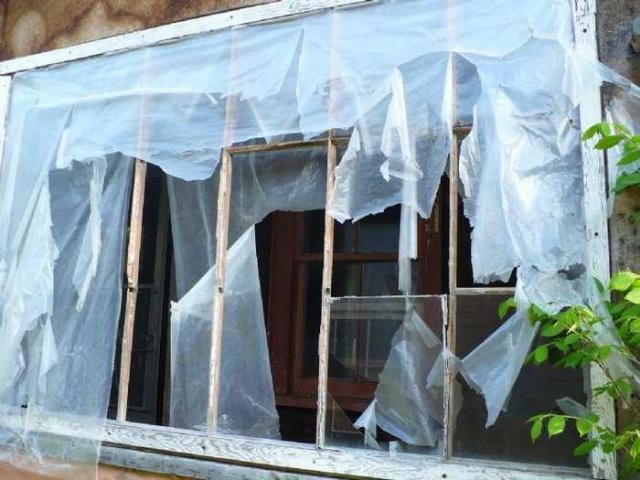 Dunedin - P1110380.jpg