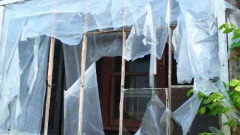 Dunedin Darntootin photo 5