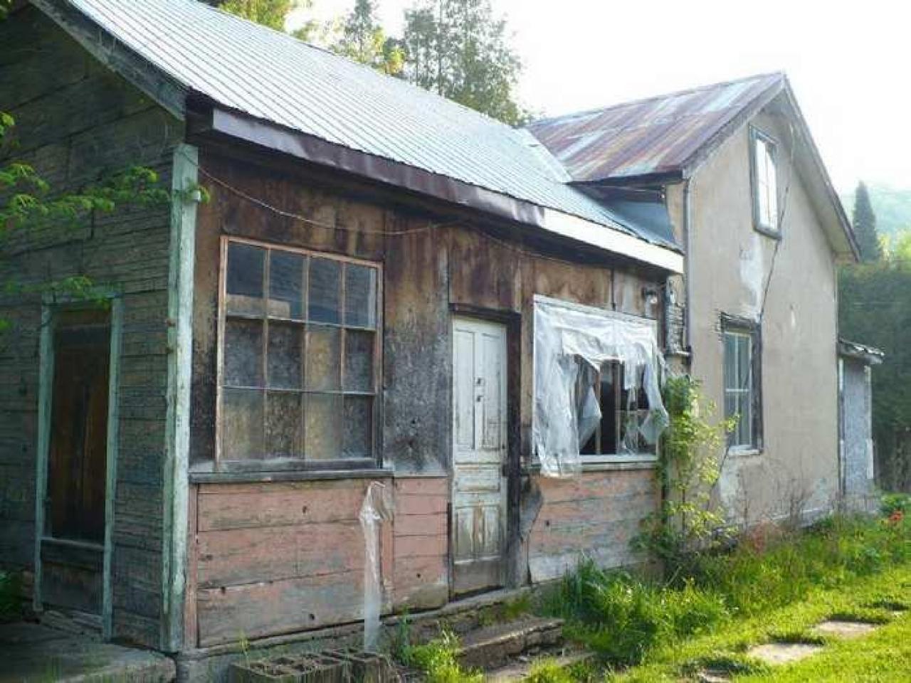 Dunedin - P1110381.jpg