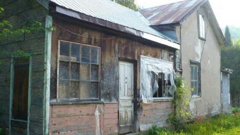 Dunedin - P1110381.jpg