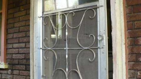 Dunedin - P1110382.jpg