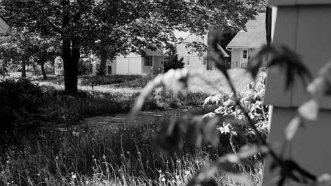 new kid on the block - Downsview Military-3.jpg