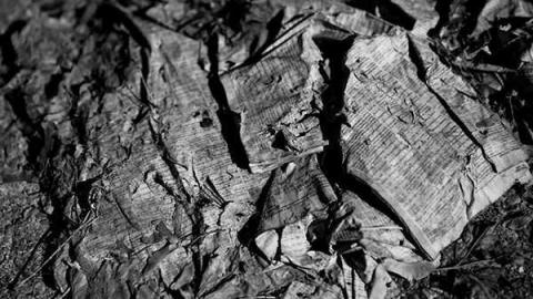 new kid on the block - Downsview Military-4.jpg