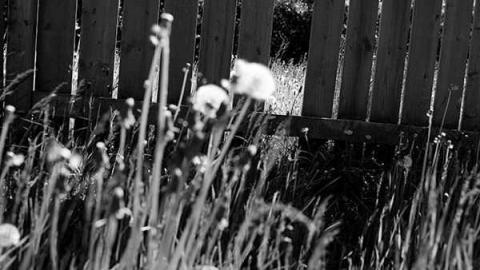 new kid on the block - Downsview Military-6.jpg