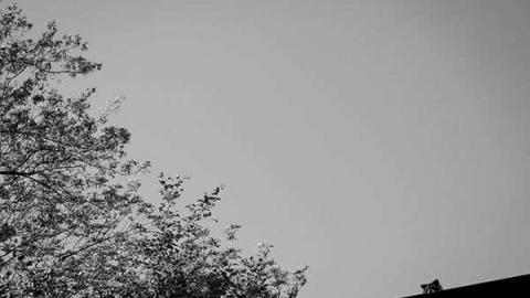 new kid on the block - Downsview Military-9.jpg