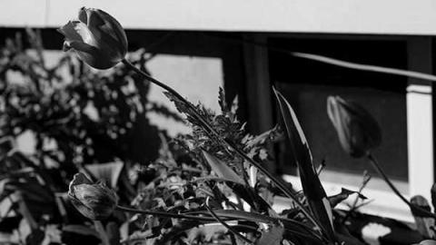 new kid on the block - Downsview Military-12.jpg