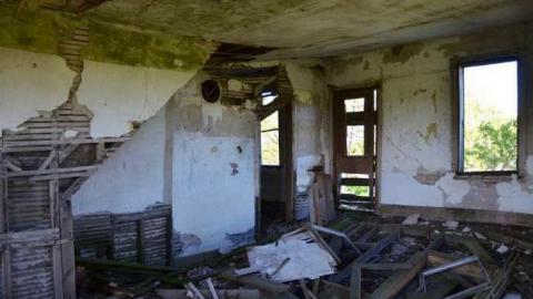 Languished - diimage.jpg