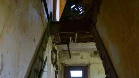 Languished - zlimage.jpg