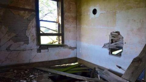 Languished - yjimage.jpg