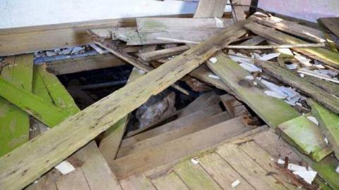 Languished - cvimage.jpg