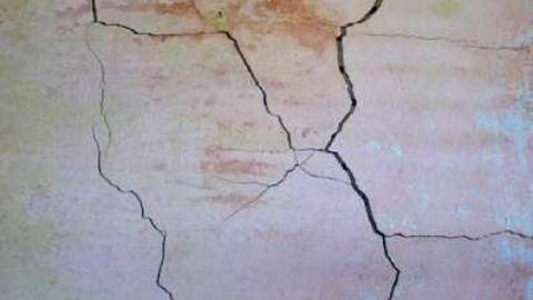 Languished - bqimage.jpg