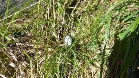 The Church With No Name - pyimage.jpg