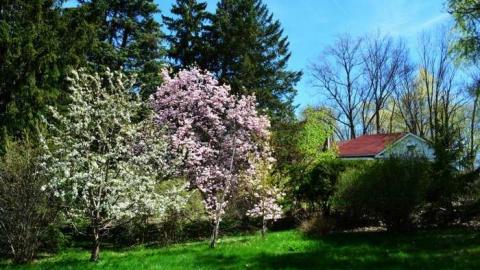 House on the Hill photo 3