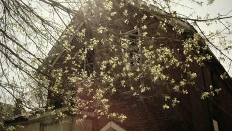 Shack - Donald--Vickers4.jpg