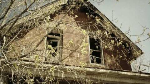 Donald & Vickers photo 3