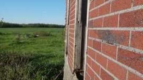 Red Grey - Breezes6.jpg