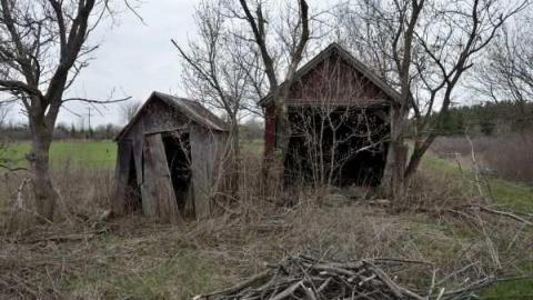 April 2013 - 11.1796.jpg