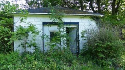 Kids aren't so nice on Tice - Tice-as-Nice-and-Effing-Ham3.jpg