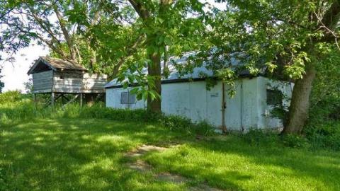 Tice as Nice and Effing Ham photo 4