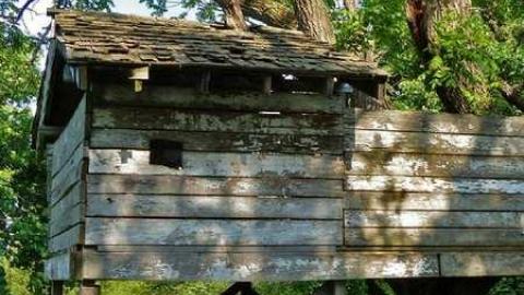 Tice as Nice and Effing Ham photo 2