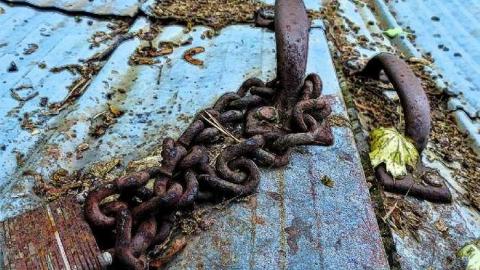 Tice as Nice and Effing Ham photo 3