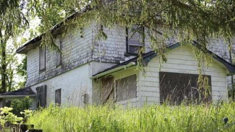 Photo from The White House