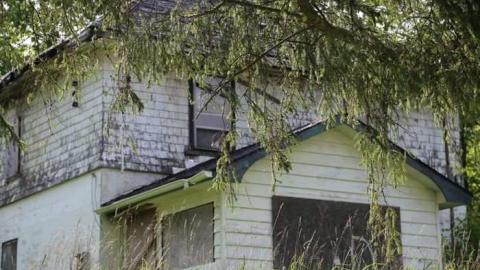 Photo from The White House