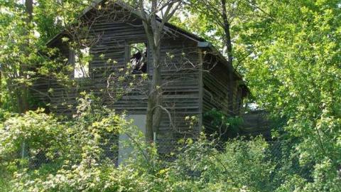 Its Been A While - P5221614.jpg