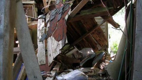 Its Been A While - P5221618.jpg