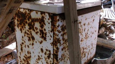 Its Been A While - P5221623.jpg