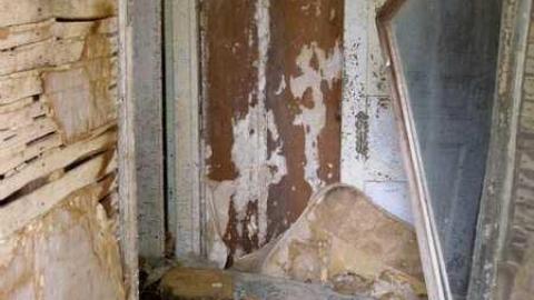 Its Been A While - P5221629.jpg