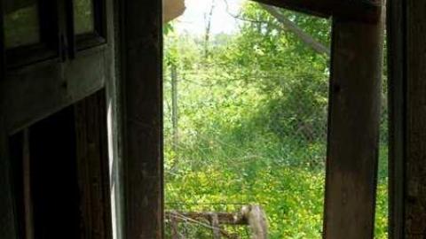 Its Been A While - P5221633.jpg