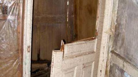 Its Been A While - P5221636.jpg