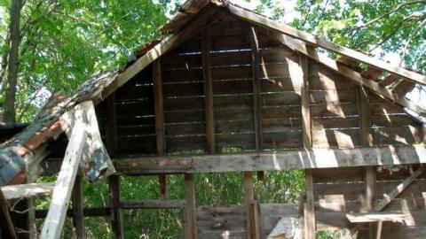 Its Been A While - P5221637.jpg