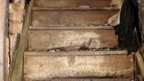 Its Been A While - P5221643.jpg