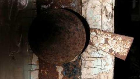 Its Been A While - P5221646.jpg