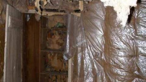 Its Been A While - P5221647.jpg