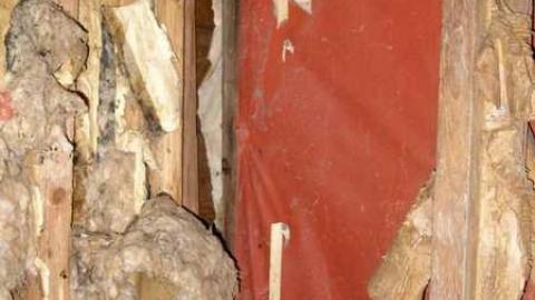 Its Been A While - P5221648.jpg