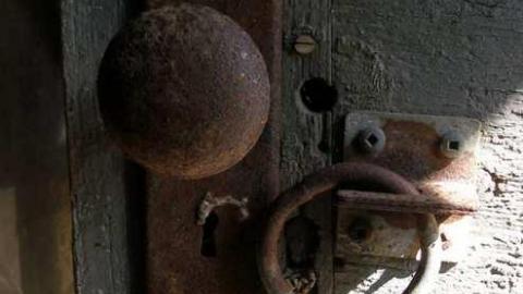 Its Been A While - P5221652.jpg