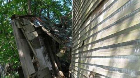 Its Been A While - P5221657.jpg