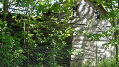 Its Been A While - P5221664.jpg