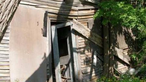 Its Been A While - P5221656.jpg