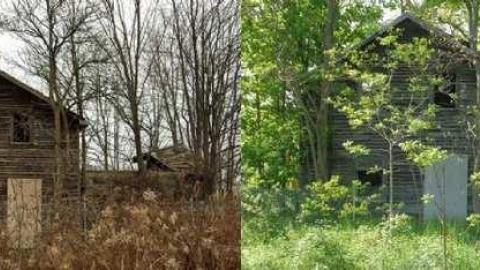 Its Been A While - 1combo.jpg