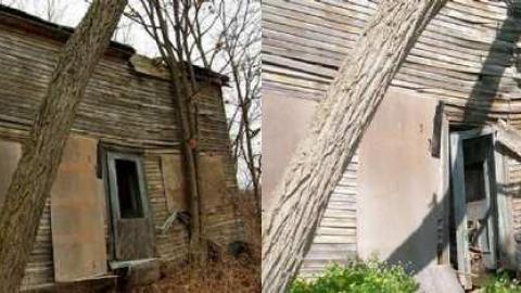 Its Been A While - 2combo.jpg