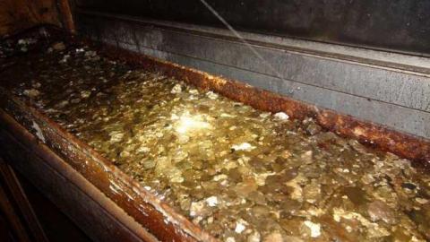 May 2013 - DSC02092.jpg