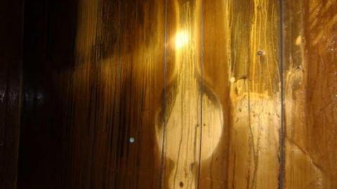 May 2013 - DSC02096.jpg