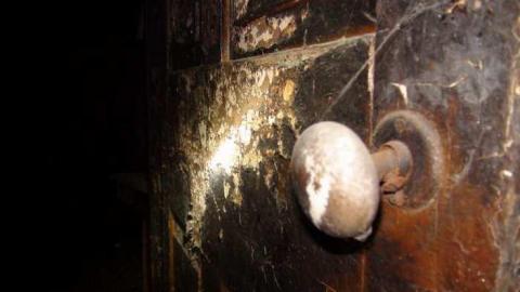 May 2013 - DSC02101.jpg